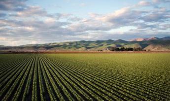 Agricoltura e biodiversità, un piccolo passo verso la neutralità carbonica