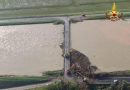 Maltempo, la terra del Lambrusco è in crisi: migliaia ettari sott’acqua da uva a zucchero e grano