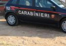 Napoli, cane randagio muore e in 4 picchiano veterinari: arrestati