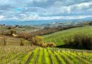 La VIA APPIA, sito UNESCO del 2024, al centro del pranzo de “La Locanda del Falerno” di Villa Matilde Avallone