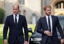 William torna a parlare di Harry, il ricordo con la madre Diana in nuovo documentario