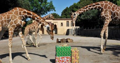 Bioparco di Roma