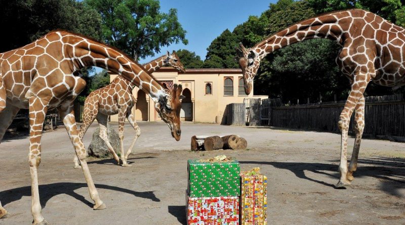 Bioparco di Roma