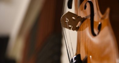 Violino o violoncello: quali sono le differenze principali